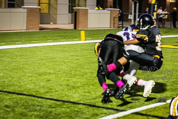 TMD_RVHS_wk6-9271