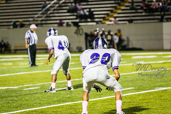 TMD_RVHS_wk6-9298