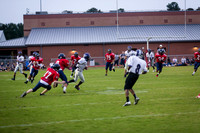 TMD_RVHS_wk7-1113