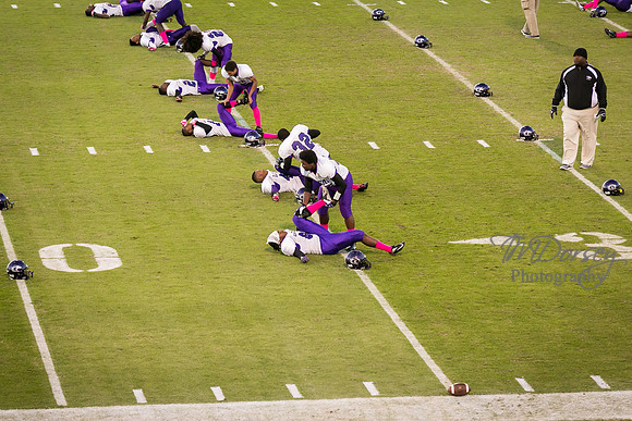 TMD_RVHS_wk8-4366