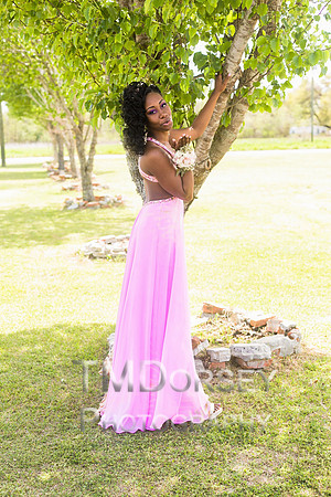 AHS_Prom_2014-1613_pc