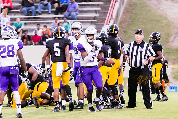 RVHS_2016-3873