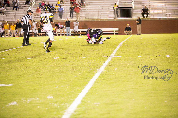 TMD_RVHS_wk6-0769