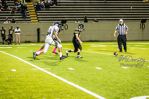TMD_RVHS_wk6-9453