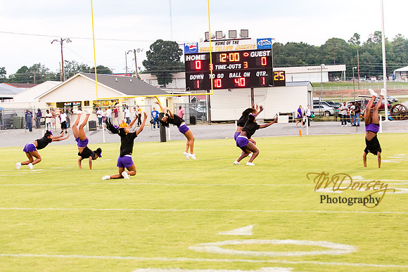 RVHS_2016-3819