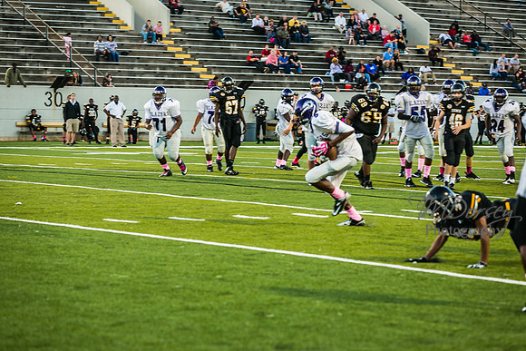 TMD_RVHS_wk6-9134