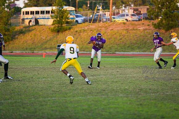 TMD_RVHS_wk8-3167