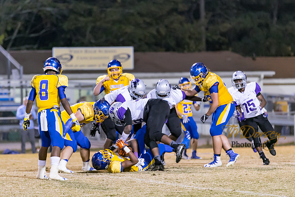 RVHS_2016-3287
