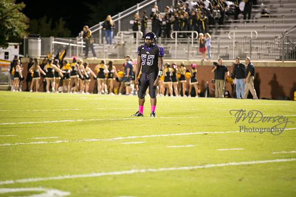 TMD_RVHS_wk6-0205