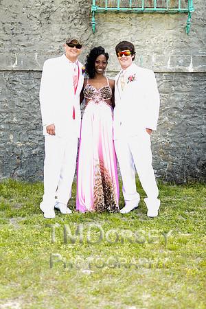 AHS_Prom_2014-1644_pc