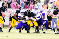 RVHS_2016-3933