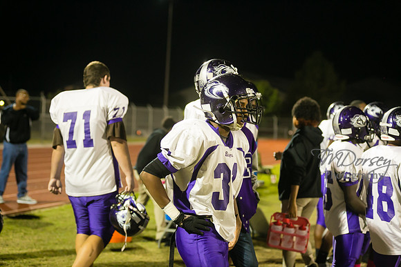 TMD_RVHS_wk7-2038