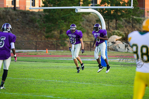 TMD_RVHS_wk8-3185