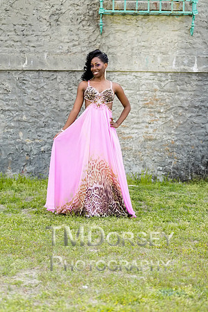 AHS_Prom_2014-1658_pc
