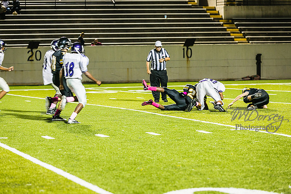 TMD_RVHS_wk6-9456