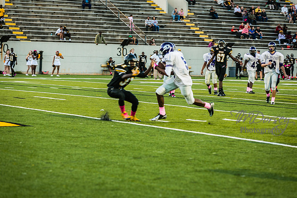 TMD_RVHS_wk6-9135
