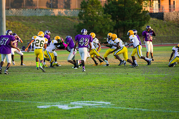TMD_RVHS_wk8-3156
