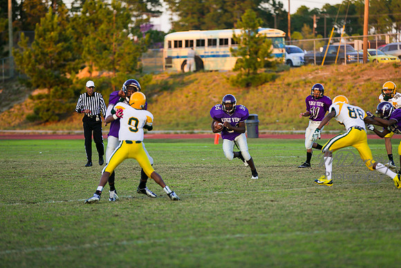 TMD_RVHS_wk8-3169