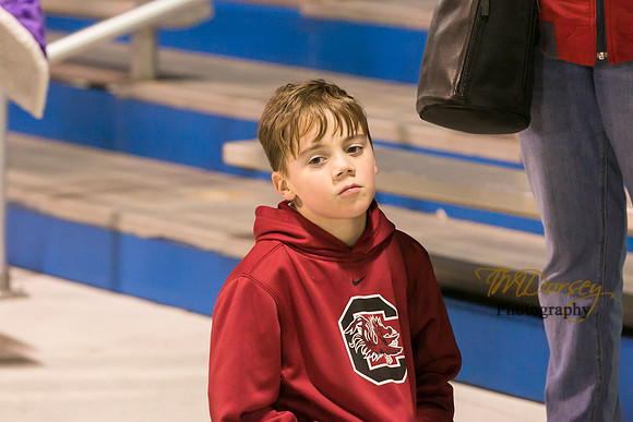 TMD_RVHS-2014-0368