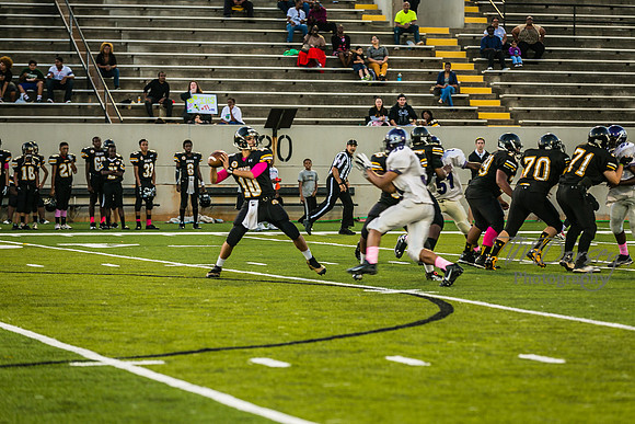 TMD_RVHS_wk6-9168