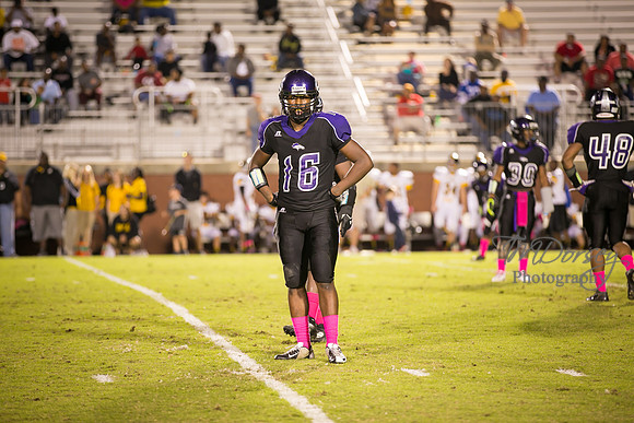 TMD_RVHS_wk6-0593