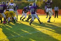 TMD_RVHS_wk8-3036