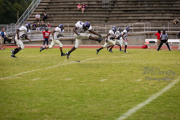 TMD_RVHS_wk7-1156