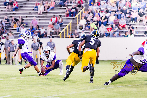 RVHS_2016-3878
