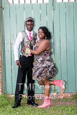 AHS_Prom_2014-1889_pc