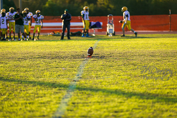 TMD_RVHS_wk8-3026