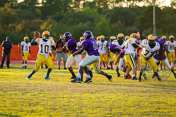 TMD_RVHS_wk8-3101