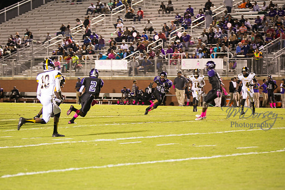 TMD_RVHS_wk6-0281