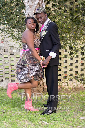 AHS_Prom_2014-1920_pc