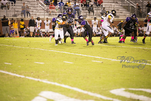 TMD_RVHS_wk6-0584