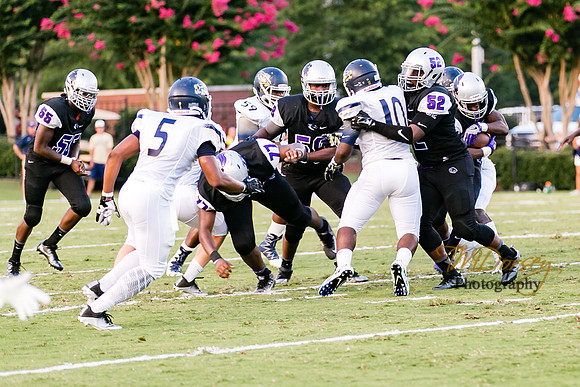 RVHS_2016-0029