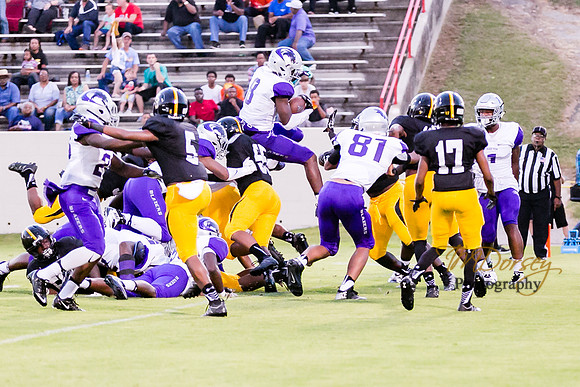 RVHS_2016-3868