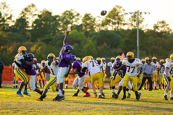 TMD_RVHS_wk8-3102