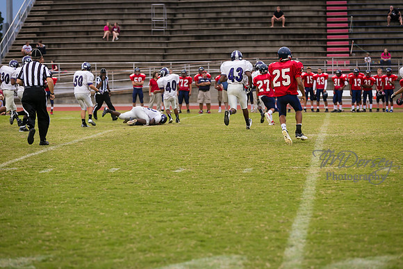 TMD_RVHS_wk7-1169