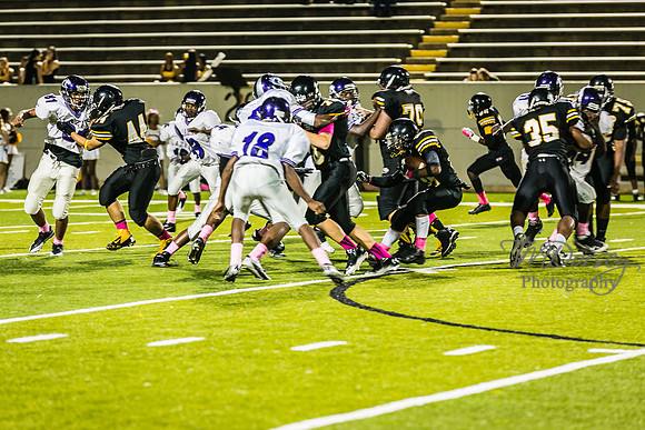 TMD_RVHS_wk6-9495