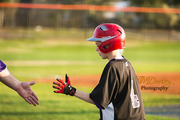 TMD_RVHS-2014-0157