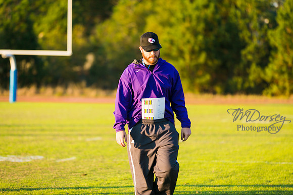 TMD_RVHS_wk8-3037