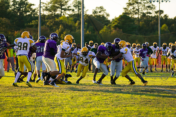 TMD_RVHS_wk8-3048
