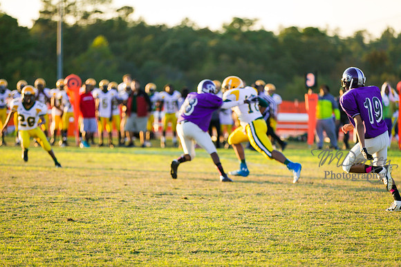 TMD_RVHS_wk8-3077