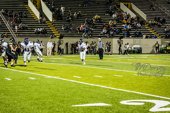 TMD_RVHS_wk6-9376