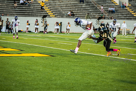 TMD_RVHS_wk6-9136