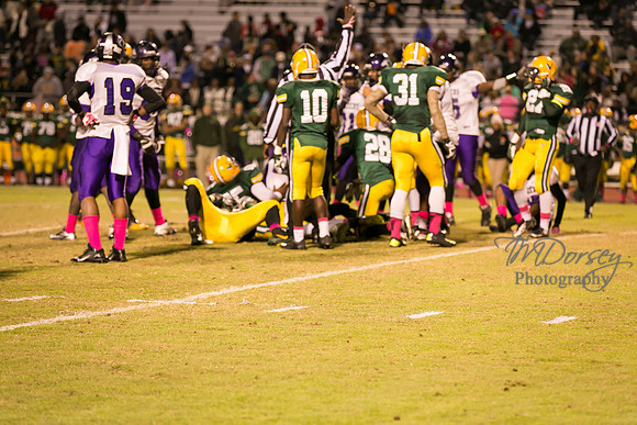 TMD_RVHS_wk8-4699