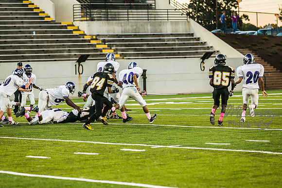 TMD_RVHS_wk6-9163