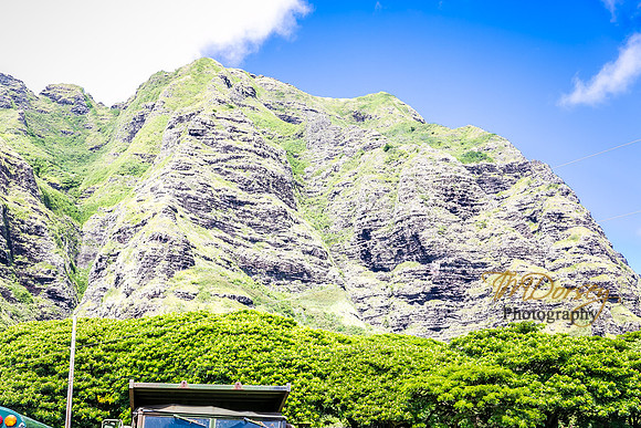 TMD_HI_2014-7485