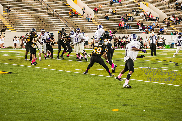 TMD_RVHS_wk6-9053