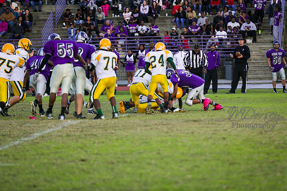 TMD_RVHS_wk8-3229